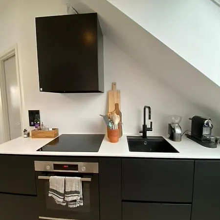 Sentral Toppleilighet Med Unik Utsikt Apartment Alesund
